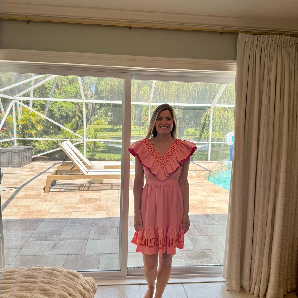 Pink Ruffled Dress